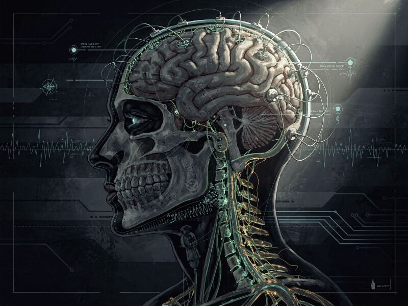 File:DARPA-DARPA-s-neuroscience-programmes-aim-to-r-5dc3494c.jpg