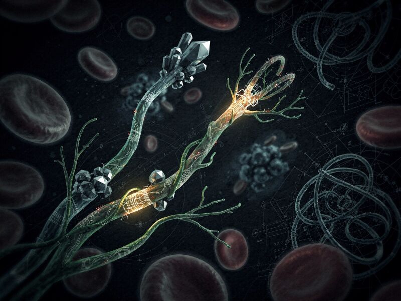 File:Nanoparticles-in-Vaccines-Darkfield-microscopy-view-of-a-blood-sam-4153e2a5.jpg