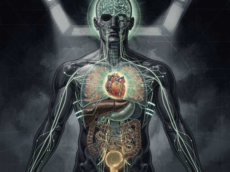 File:Vampiric-Energy-Harvesting-The-human-body-generates-continuous-bioe-11559a49.jpg