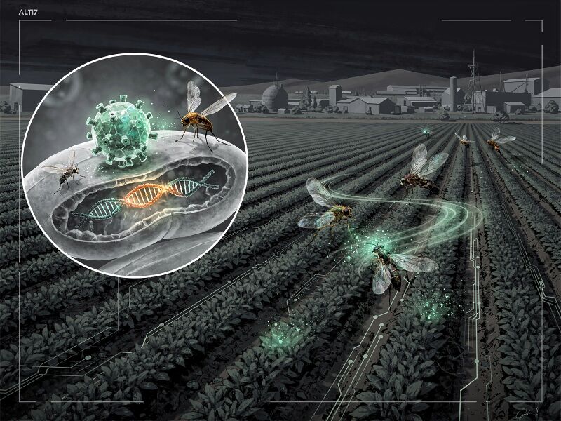 File:CRISPR-DARPA-s-Insect-Allies-programme-explores-55070924.jpg