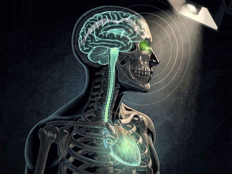 File:Stalking-the-Wild-Pendulum-The-cerebrospinal-resonance-cascade-prop-2829b449.jpg